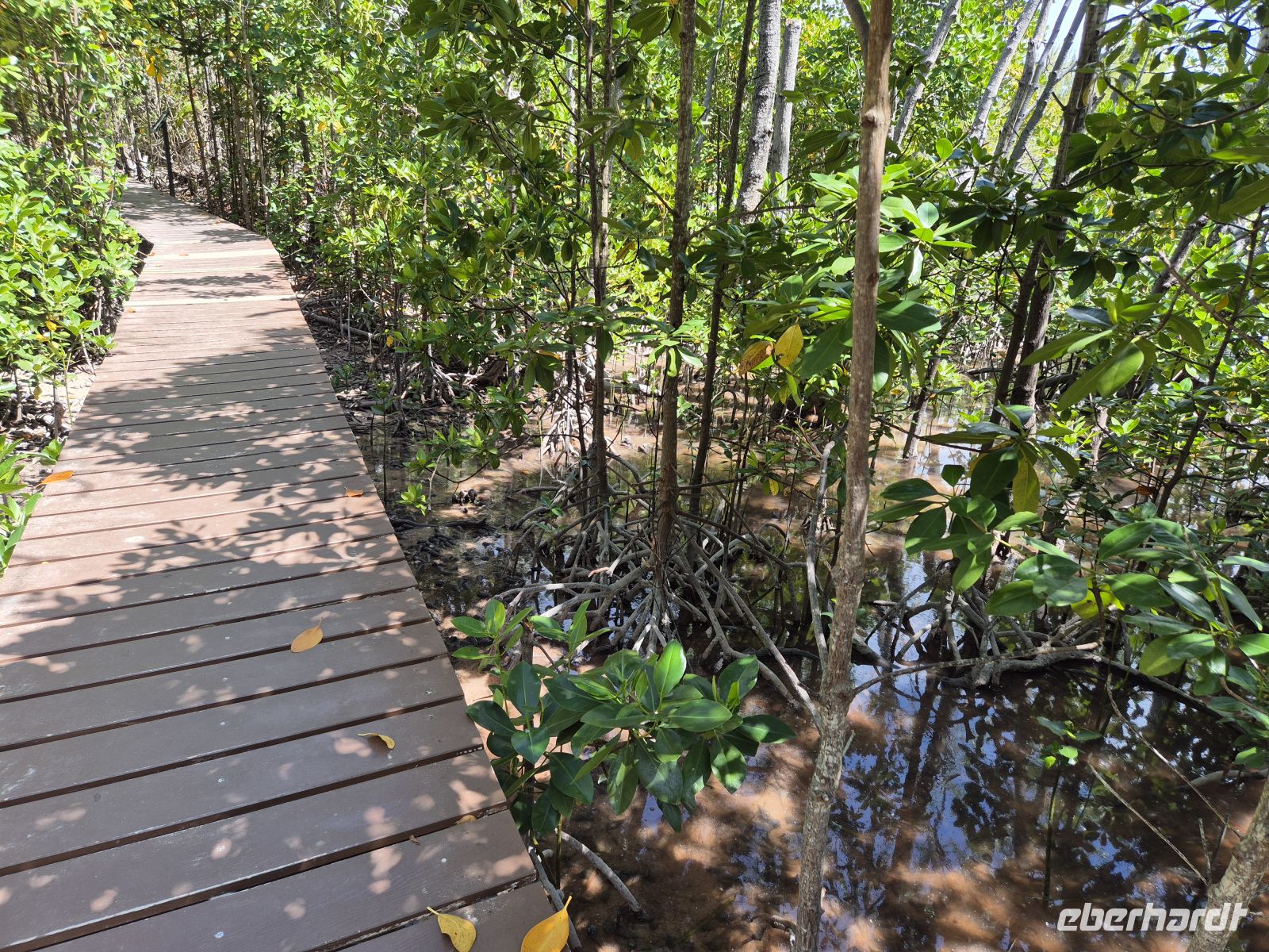 Wanderung auf  Curieuse