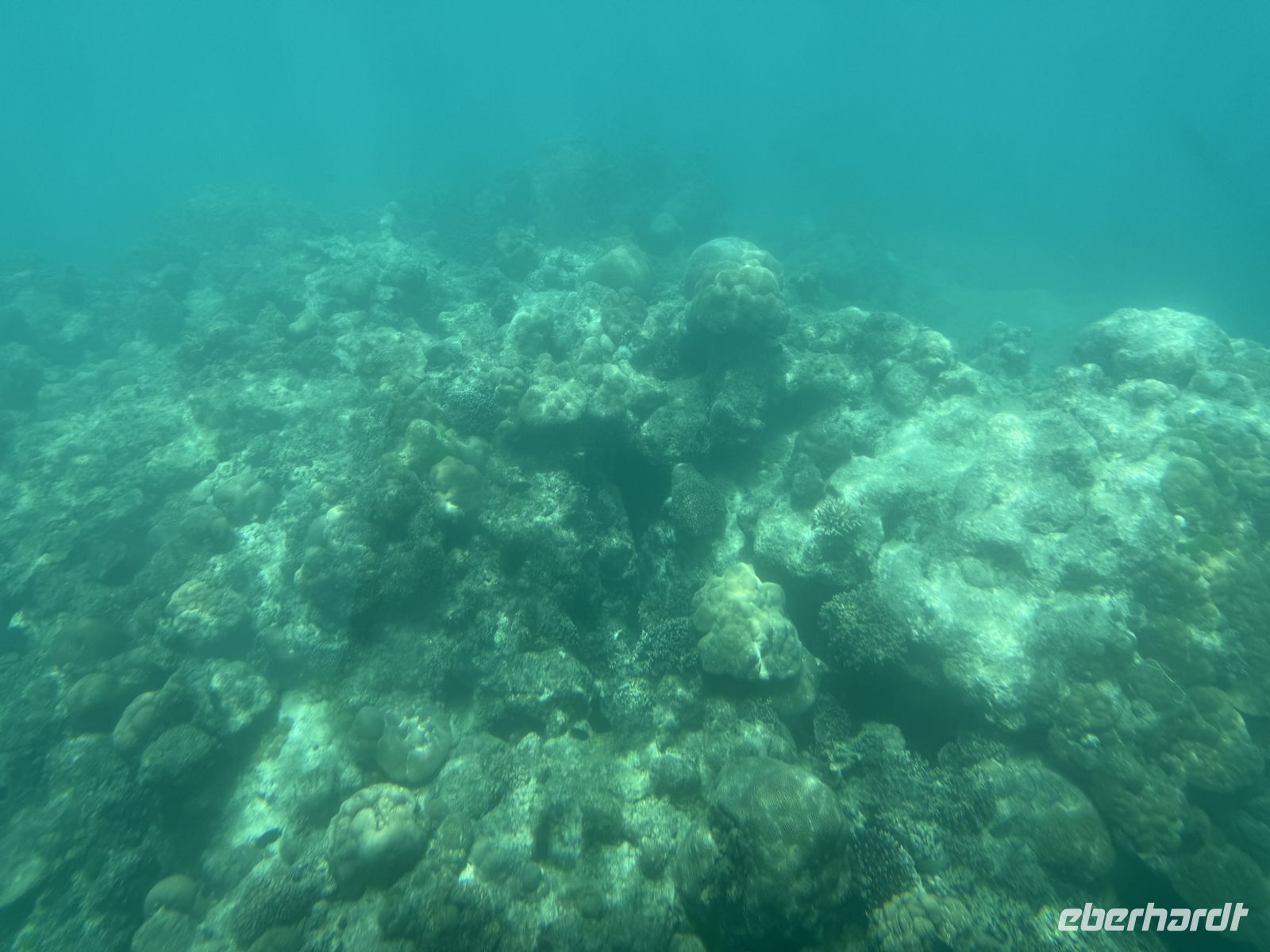 Unterwasserwelt St. Anne Marine Nationalpark