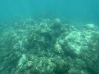 Unterwasserwelt St. Anne Marine Nationalpark