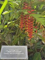 Botanischer Garten Victoria