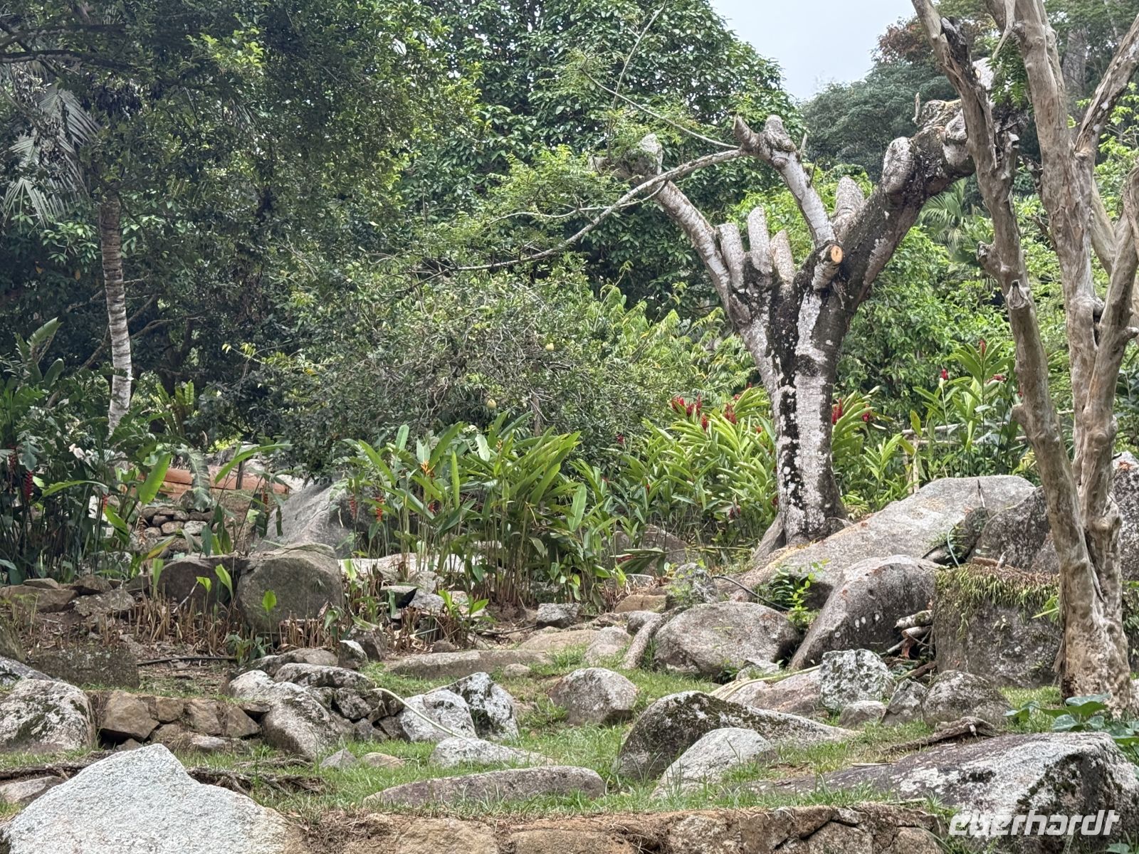 Jardin du Roi Gewürzgarten