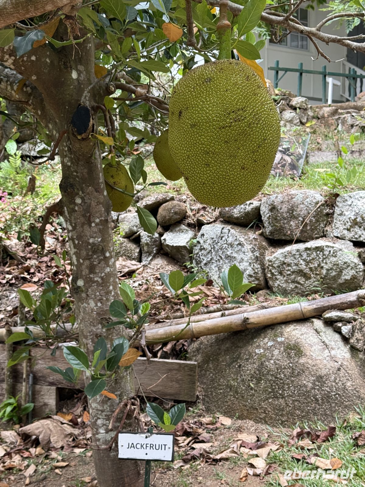 Jardin du Roi Gewürzgarten