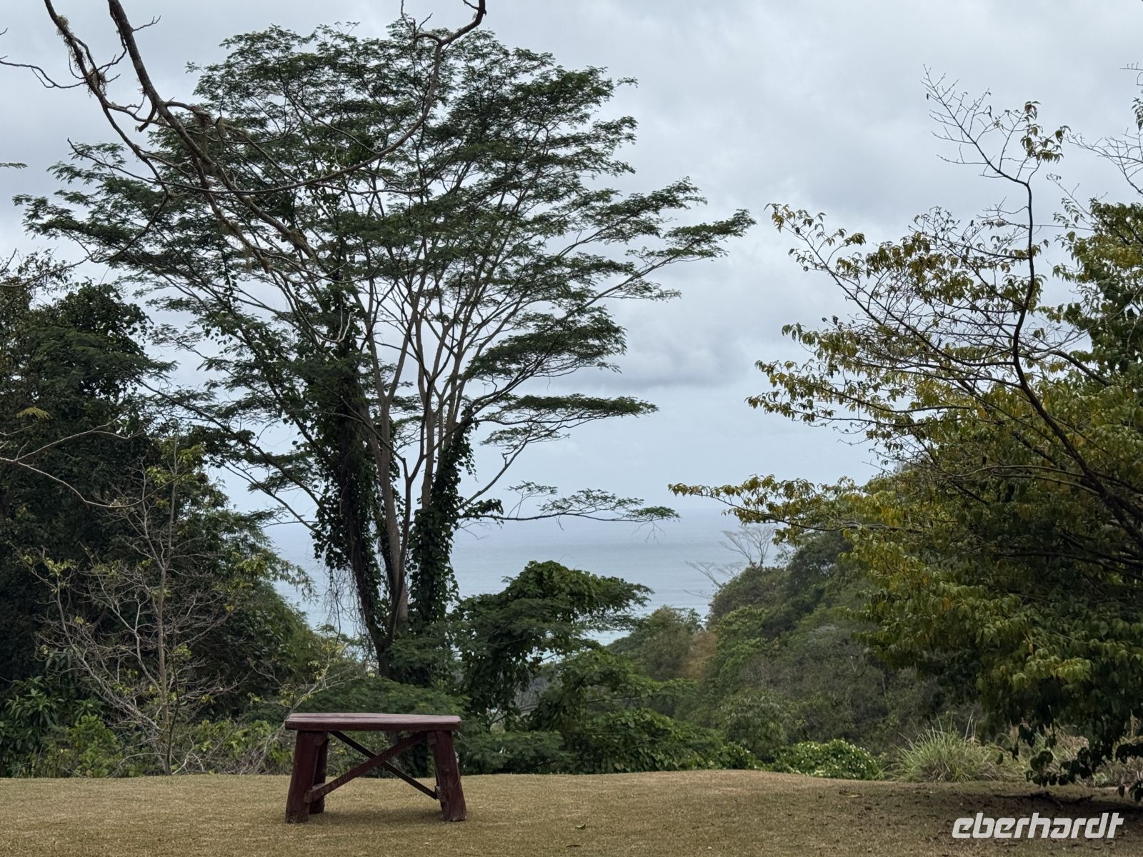 Jardin du Roi Gewürzgarten