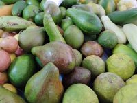 Marktgemüse in Victoria  &ndash; &copy; Monika Cortese (Eberhardt TRAVEL)