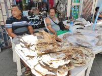 Fischmarktstand, Victoria  &ndash; &copy; Monika Cortese (Eberhardt TRAVEL)