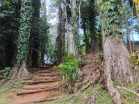 Auf dem Weg zur Mission Lodge &ndash; &copy; Monika Cortese (Eberhardt TRAVEL)