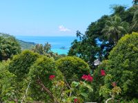 Jardin du Roi - Gewürzgarten, Mahé  &ndash; &copy; Monika Cortese (Eberhardt TRAVEL)