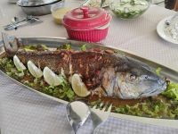 Jobfish - Grüner Snapper, Mittagessen am Gewürzgarten  &ndash; &copy; Monika Cortese (Eberhardt TRAVEL)