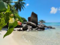Anse Royal, Mahé  &ndash; &copy; Monika Cortese (Eberhardt TRAVEL)