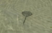 Badegast &ndash; &copy; Monika Cortese (Eberhardt TRAVEL)