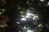 307 Valle de Mai