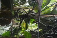 308 Valle de Mai
