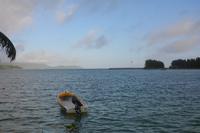 342 Praslin