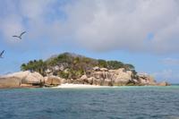 409 Cocos Island