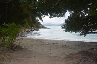 432  Spaziergang auf La Digue