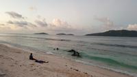 Abschluß Abendessen in La Digue, Seychellen