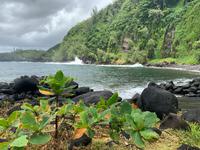 Anse de Cascades