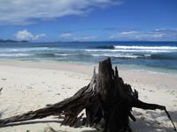 Aride Island Ausflug