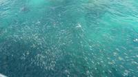 Ausflug St.Anne Marine Nationalpark