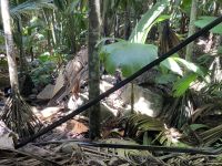 Besuch im Vallée de Mai