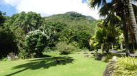 Botanischer Garten auf Mahe