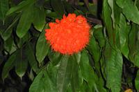 Botanischer Garten