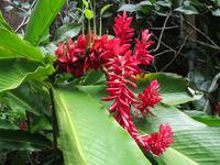 Botanischer Garten