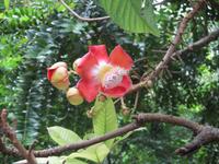 Botanischer Garten