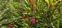 Botanischer Garten