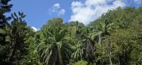 Botanischer Garten