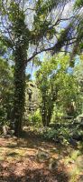 Botanischer Garten
