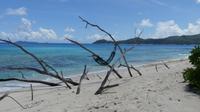 Cousin Island
