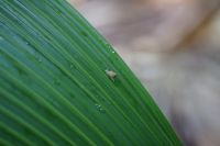 DSC04181.JPG