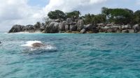 Ile Coco