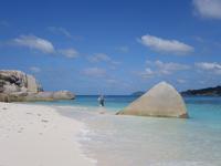 Insel Coco (2)
