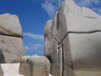 Insel Coco (5)