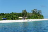 Insel Cousin