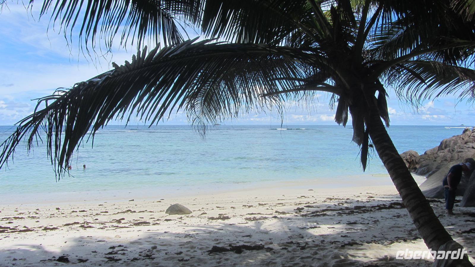 Insel Moyenne