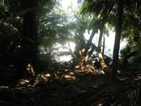 Insel Moyenne