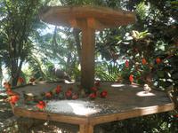 Insel Moyenne
