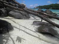 Insel Moyenne