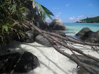 Insel Moyenne