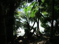 Insel Moyenne
