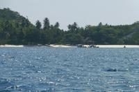 Insel Sister