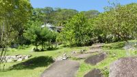 Jardin du Roi