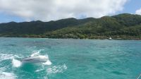 Katamaranausflug La Digue