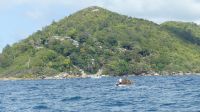 Katamaranausflug La Digue