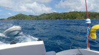 Katamaranausflug La Digue