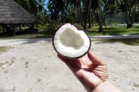 Kokosnuss