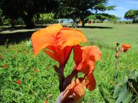 La Digue Ausflug